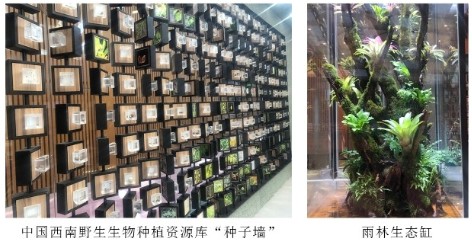 之宝就是馆内陈列的348类来自中国西南野生生物种质资源库的"种子墙"